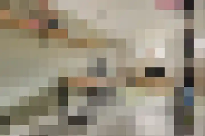 Meidoornlaan 8 Harmelen thumbnail 11