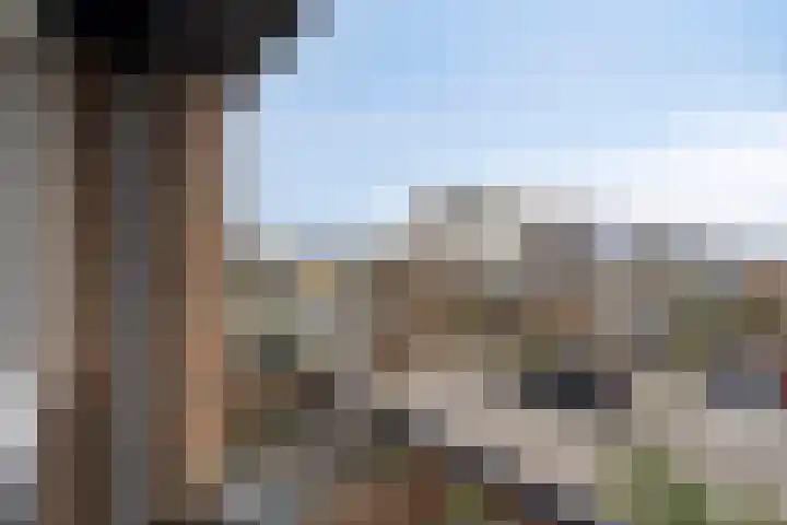 Meidoornlaan 8 Harmelen thumbnail 18