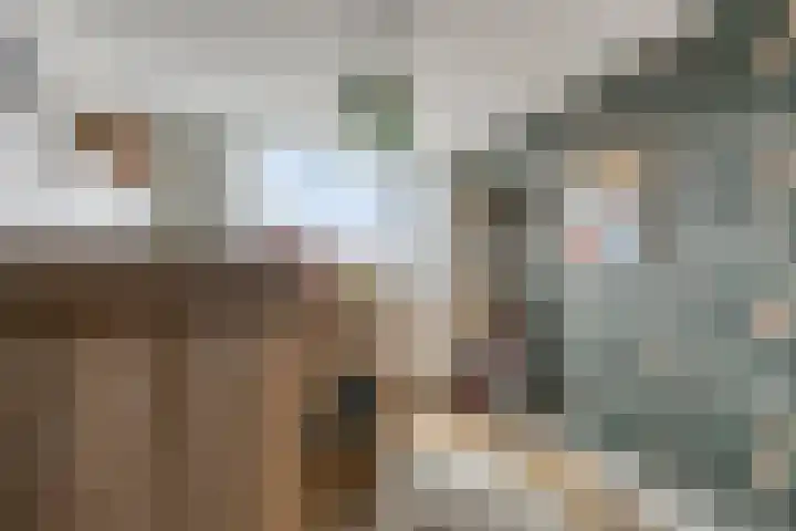 Meidoornlaan 8 Harmelen thumbnail 19