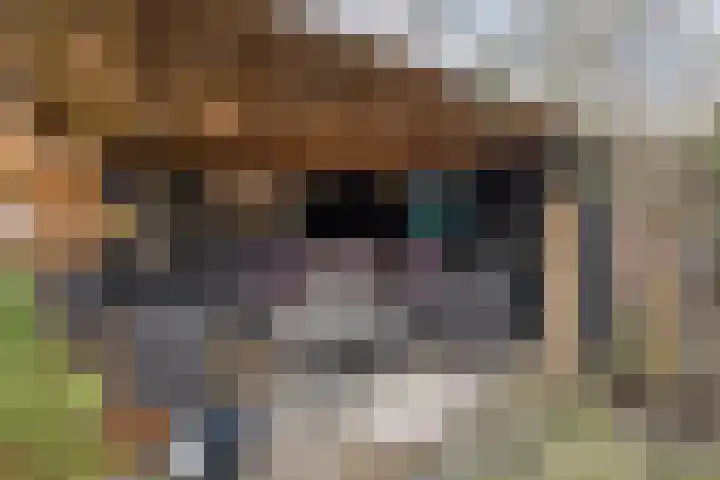 Meidoornlaan 8 Harmelen foto 2