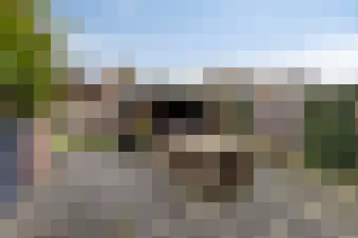 Meidoornlaan 8 Harmelen thumbnail 28