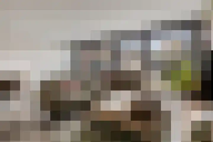 Meidoornlaan 8 Harmelen foto 3