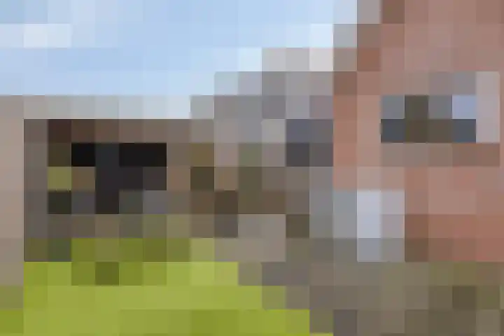 Meidoornlaan 8 Harmelen thumbnail 30