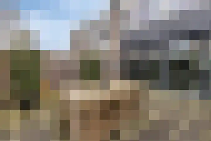 Meidoornlaan 8 Harmelen thumbnail 31