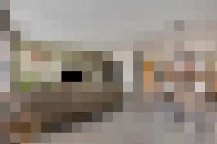 Meidoornlaan 8 Harmelen thumbnail 8
