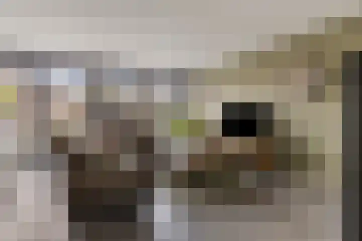 Meidoornlaan 8 Harmelen thumbnail 9