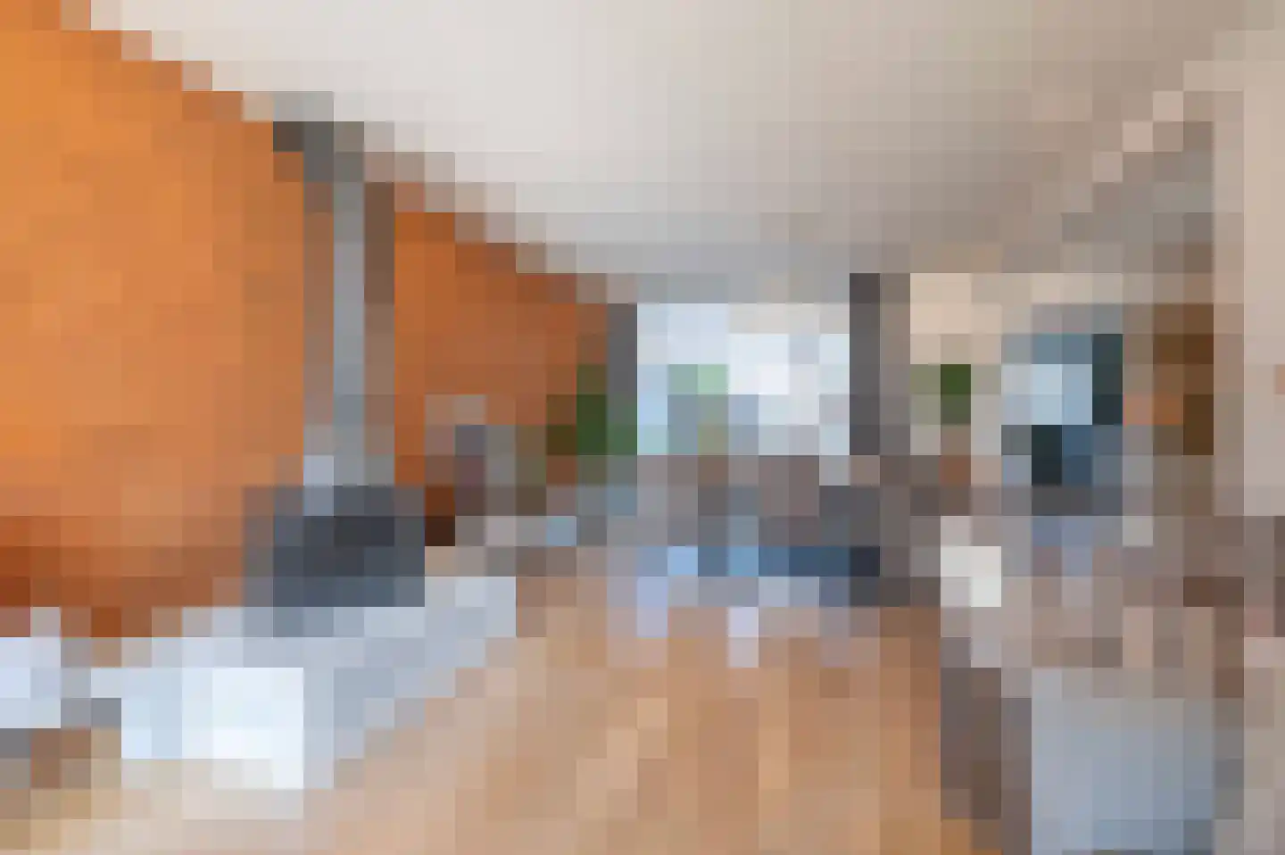 Meidoornlaan 8 Hoeven thumbnail 14