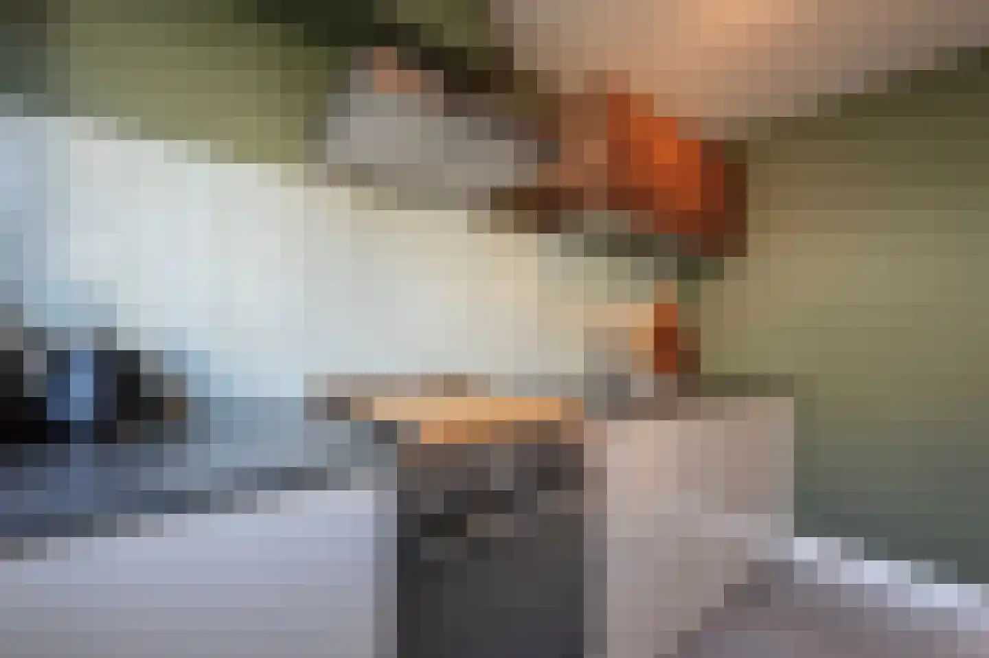 Meidoornlaan 8 Hoeven thumbnail 18
