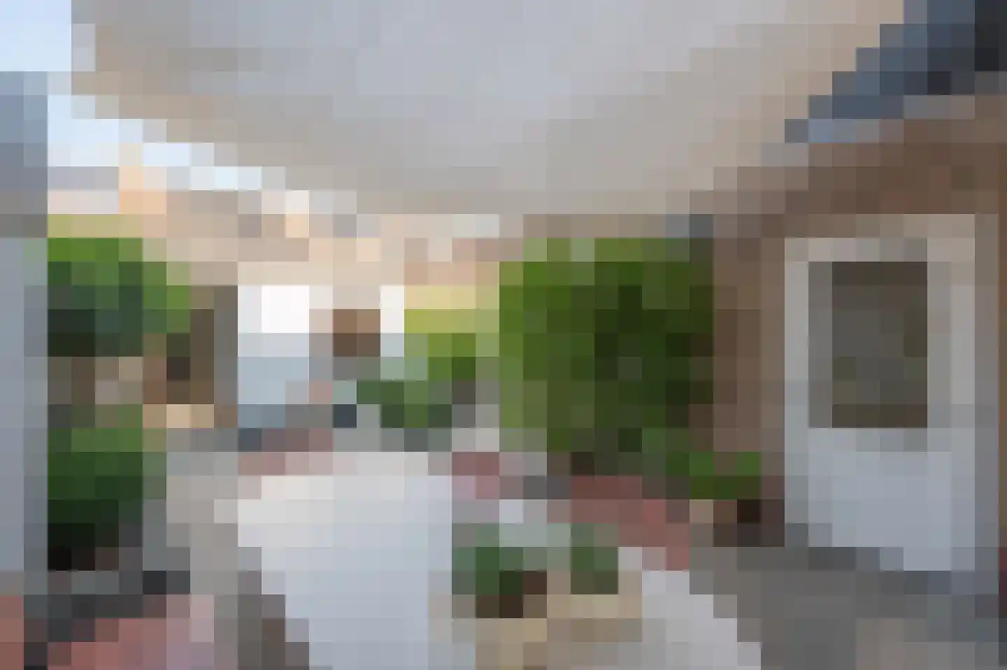 Meidoornlaan 8 Hoeven thumbnail 20