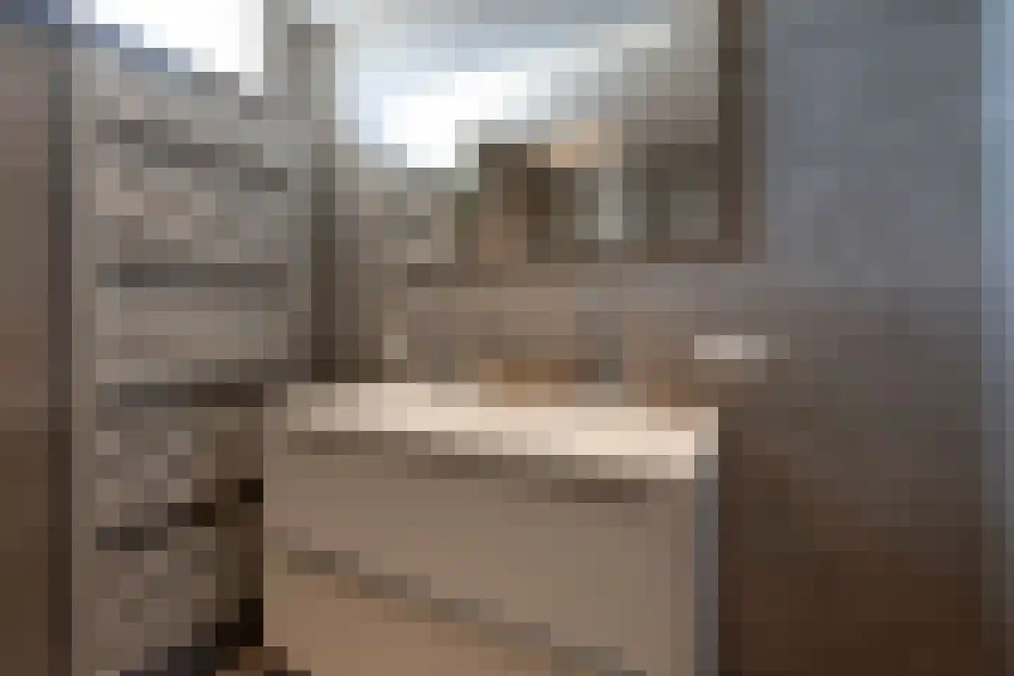 Meidoornlaan 8 Hoeven thumbnail 38