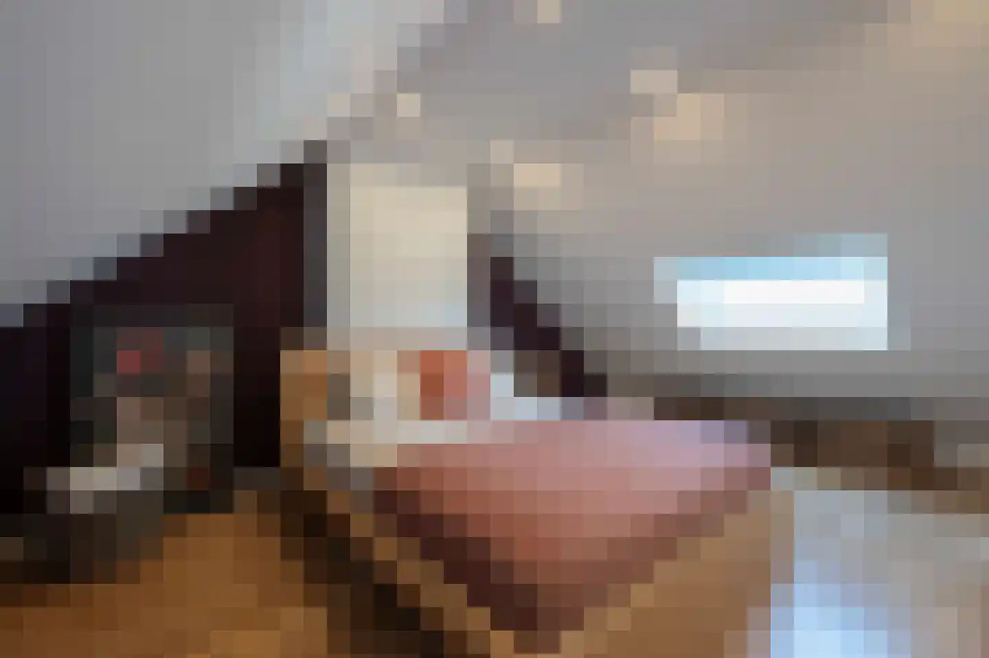 Meidoornlaan 8 Hoeven thumbnail 47