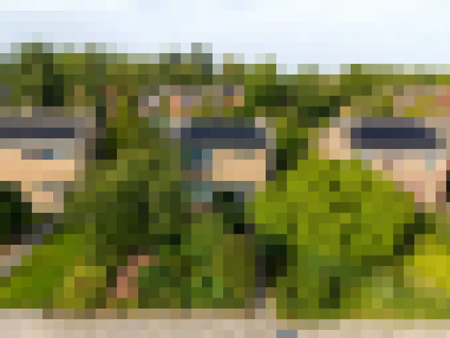 Meidoornlaan 8 Sauwerd