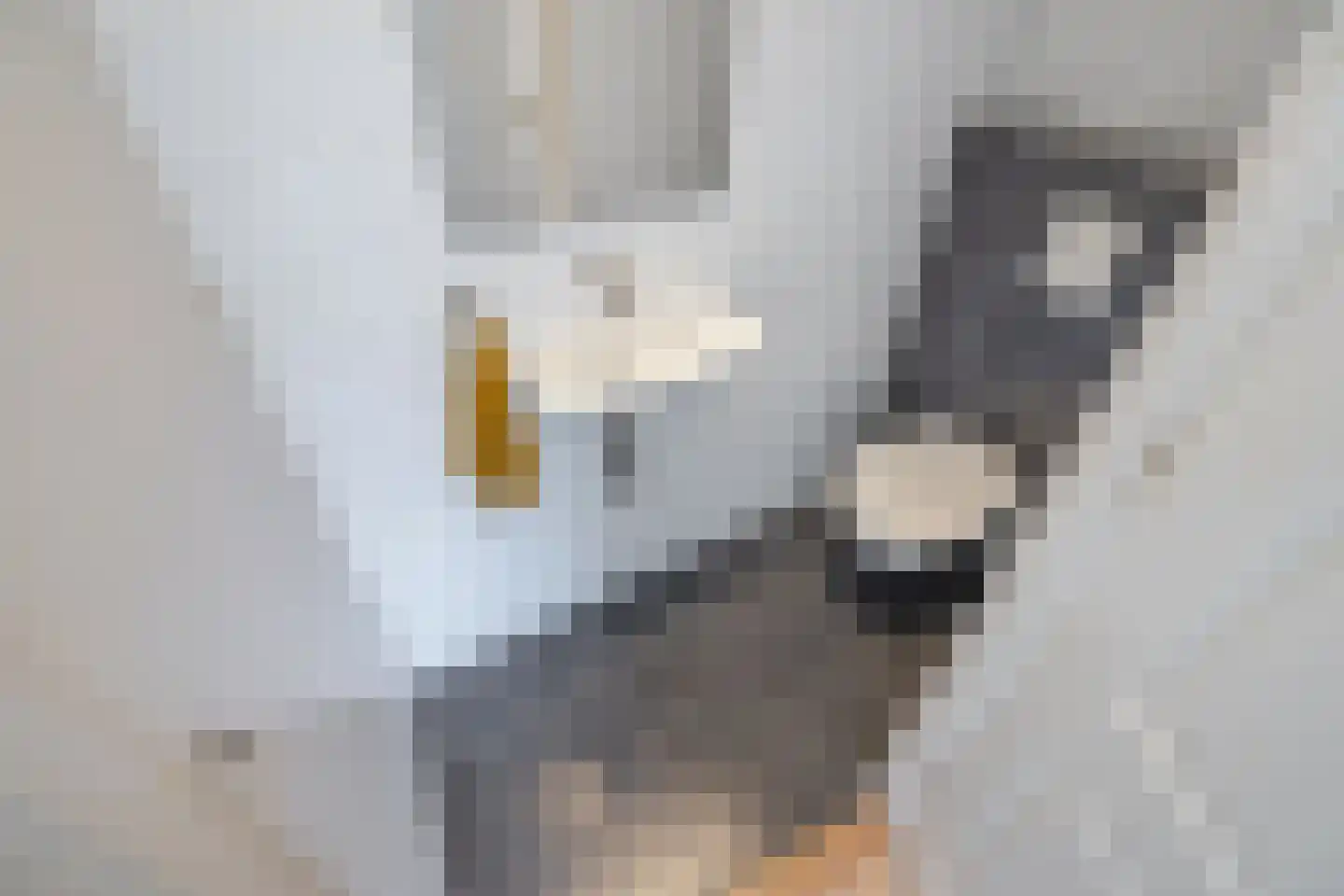Meidoornlaan 89 Delft thumbnail 21