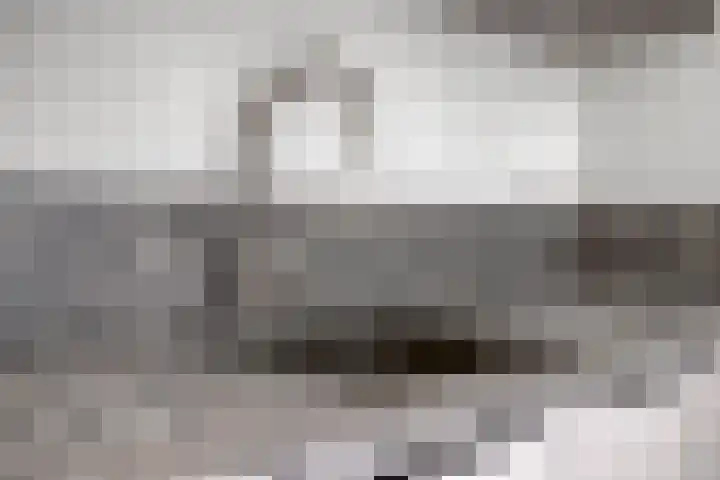 Meidoornlaan 89 Pijnacker thumbnail 30