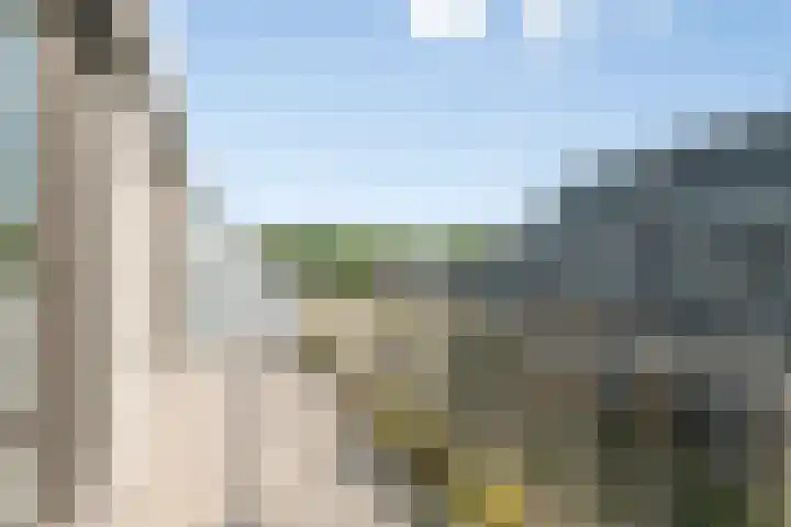 Meidoornlaan 89 Pijnacker thumbnail 32