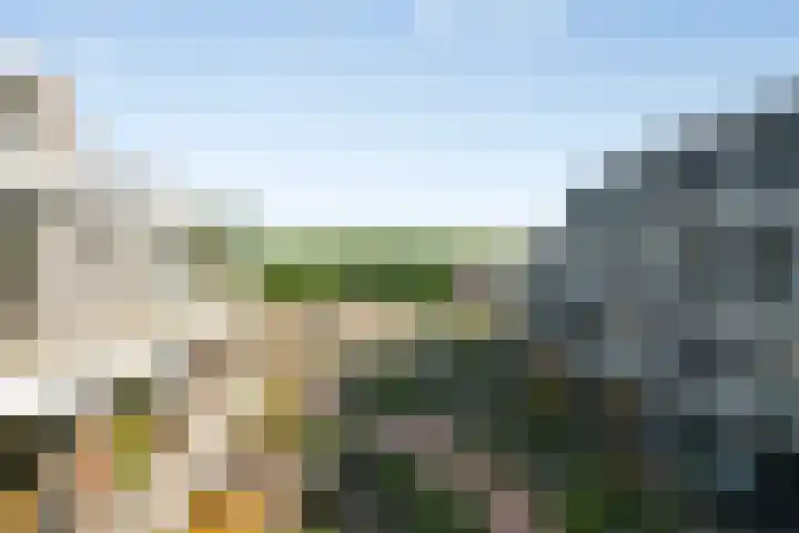 Meidoornlaan 89 Pijnacker thumbnail 34