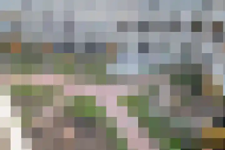 Meidoornlaan 89 Pijnacker thumbnail 35