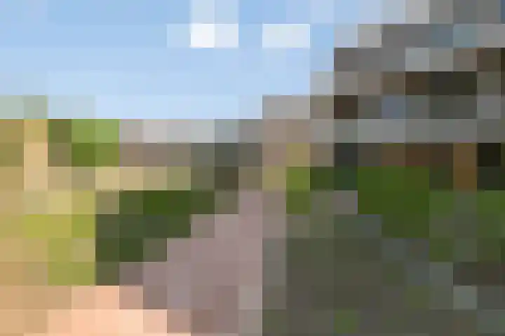 Meidoornlaan 89 Pijnacker thumbnail 41