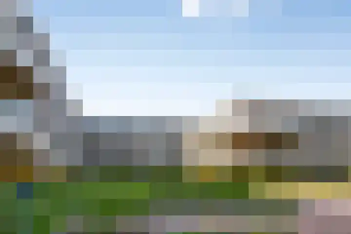 Meidoornlaan 89 Pijnacker thumbnail 42