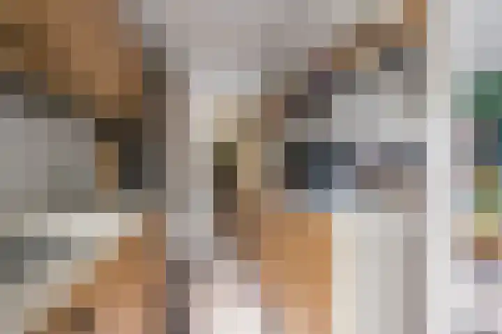 Meidoornlaan 9 01 Nijkerk thumbnail 10