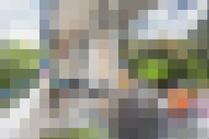 Meidoornlaan 9 01 Nijkerk thumbnail 14