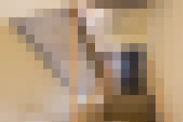 Meidoornlaan 9 01 Nijkerk thumbnail 24