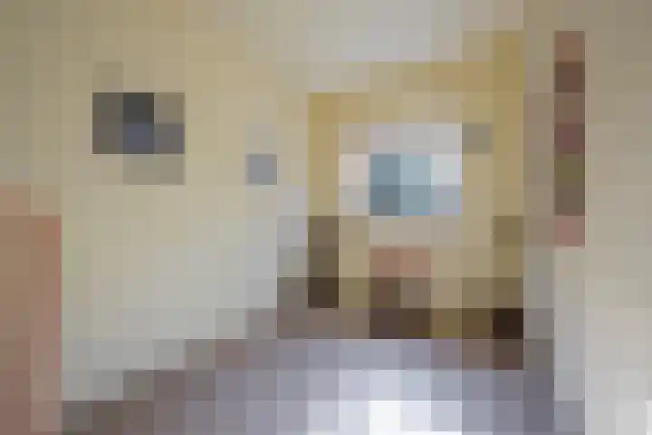 Meidoornlaan 9 01 Nijkerk thumbnail 25