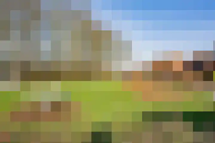 Meidoornlaan 9 01 Nijkerk thumbnail 26