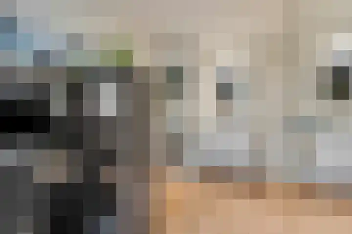Meidoornlaan 9 02 Nijkerk thumbnail 11