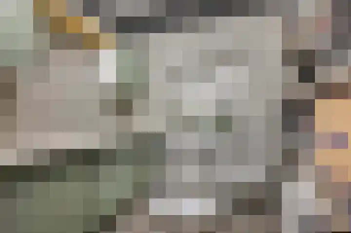 Meidoornlaan 9 02 Nijkerk thumbnail 15
