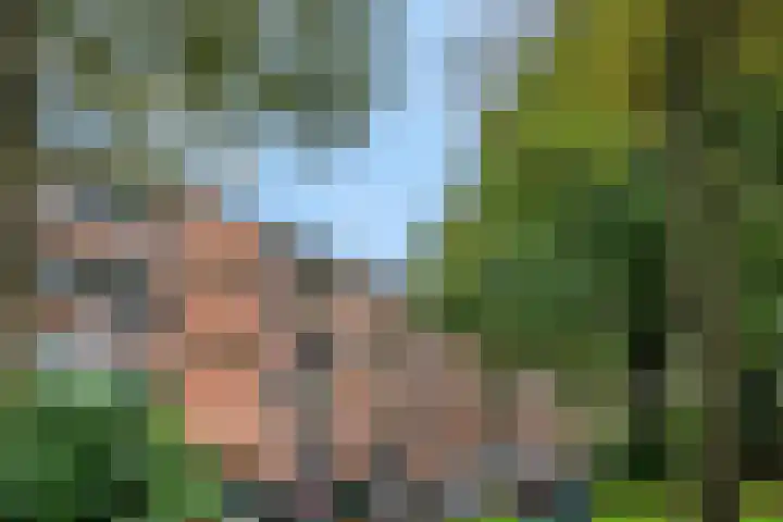 Meidoornlaan 9 02 Nijkerk thumbnail 17