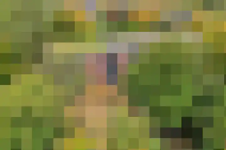Meidoornlaan 9 02 Nijkerk thumbnail 18