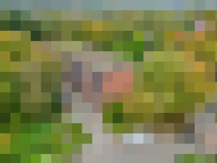 Meidoornlaan 9 02 Nijkerk thumbnail 19