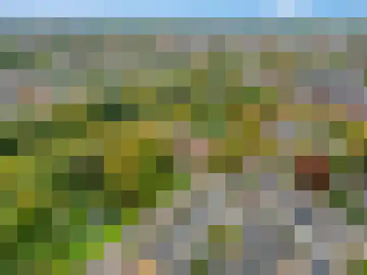 Meidoornlaan 9 02 Nijkerk thumbnail 20