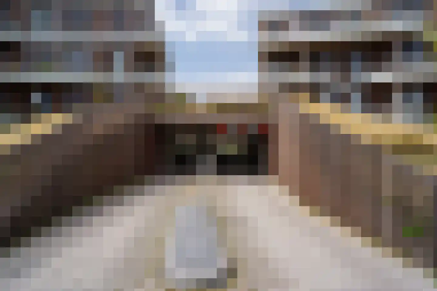 Meidoornlaan 9 Pijnacker thumbnail 14