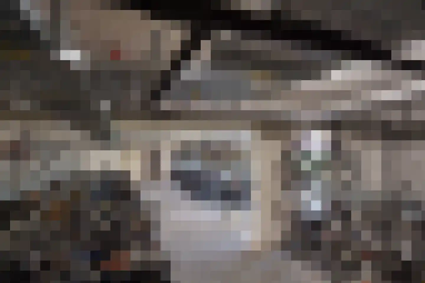 Meidoornlaan 9 Pijnacker thumbnail 17