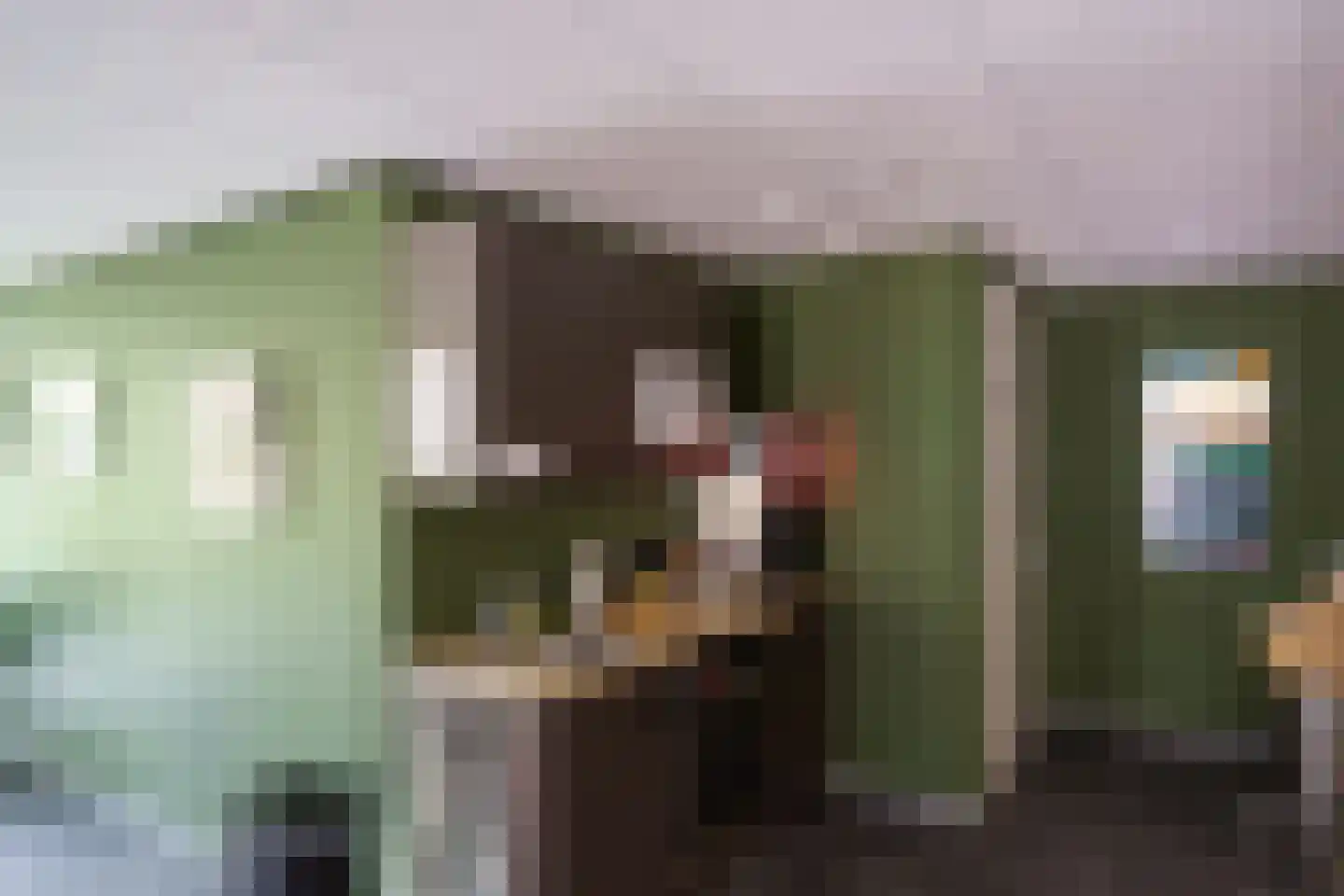 Meidoornlaan 9 Pijnacker thumbnail 19