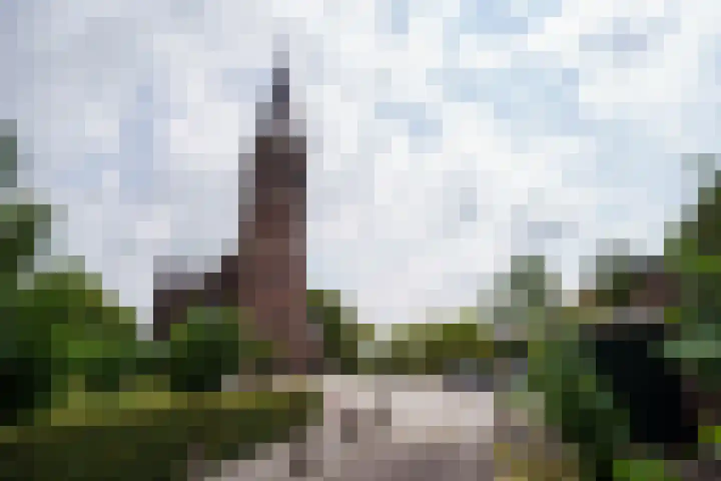 Meidoornlaan 9 Pijnacker thumbnail 20