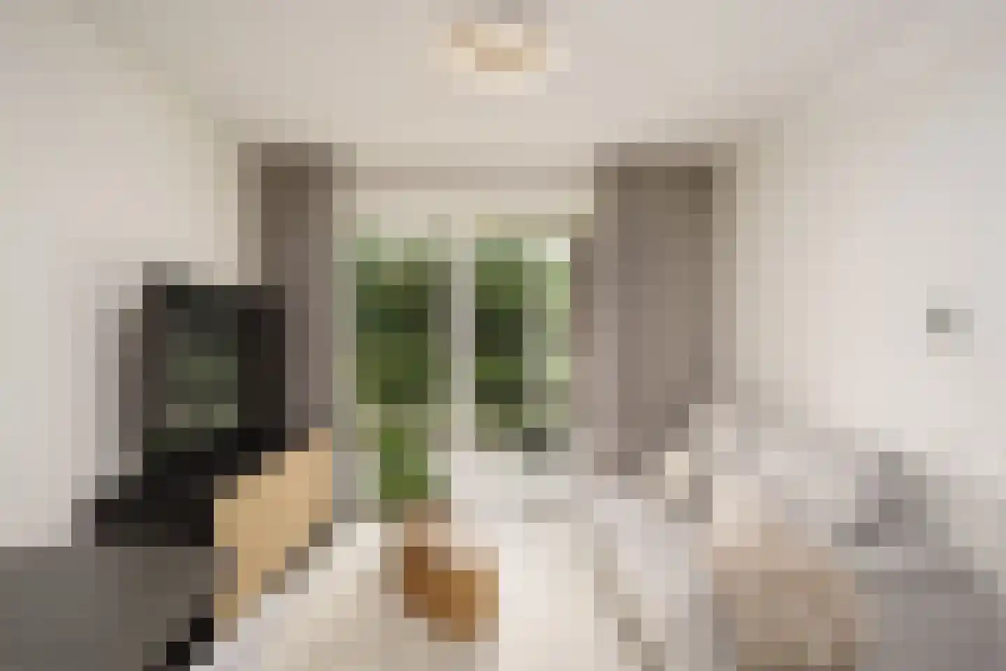 Meidoornlaan 9 Pijnacker thumbnail 4