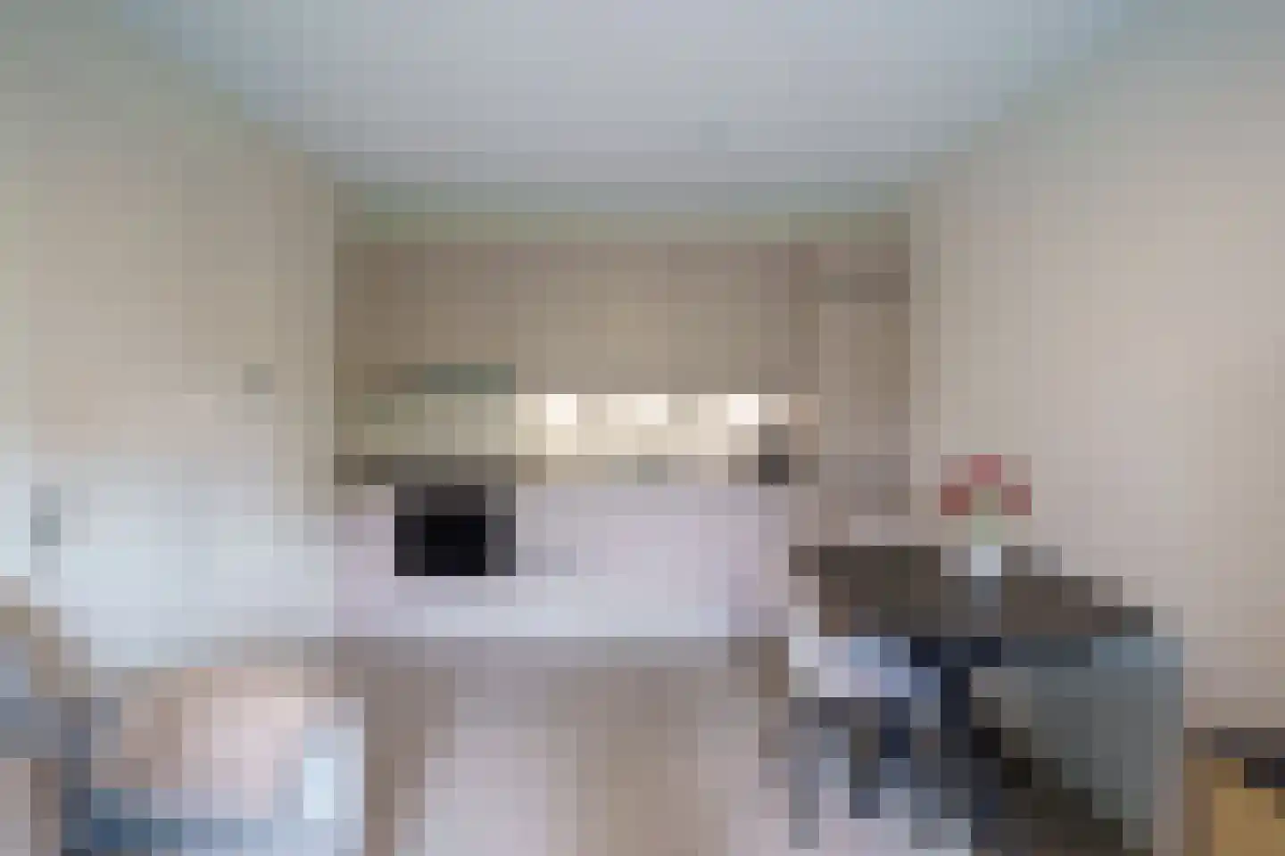Meidoornlaan 9 Pijnacker thumbnail 7