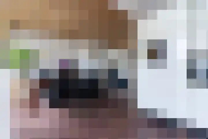 Meidoornpad 27 De Bilt thumbnail 10