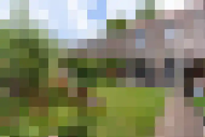 Meidoornpad 27 De Bilt thumbnail 14