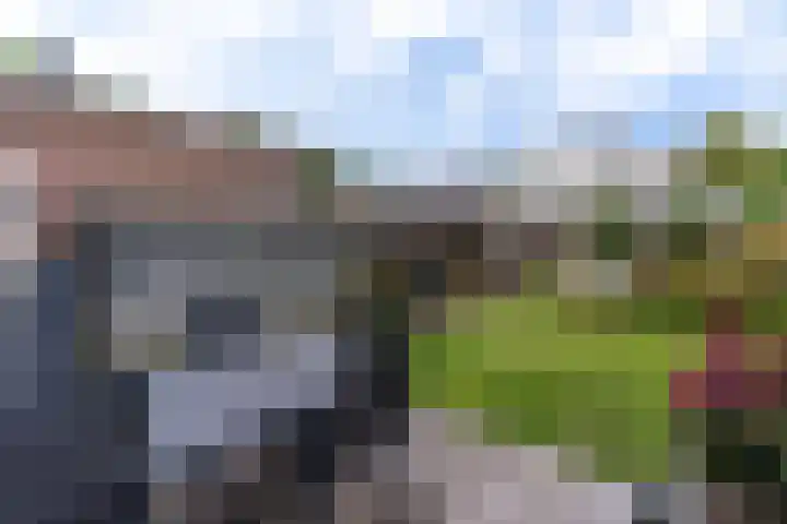 Meidoornpad 27 De Bilt thumbnail 16