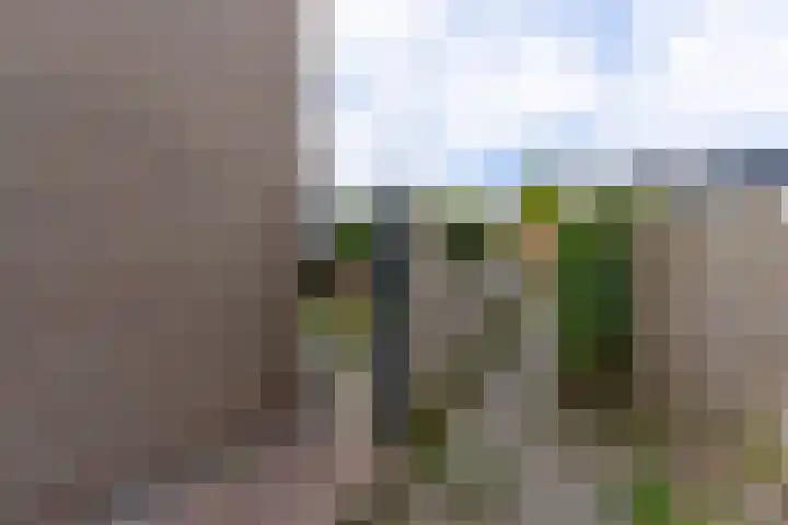 Meidoornpad 27 De Bilt thumbnail 17