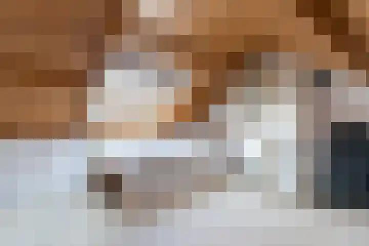 Meidoornpad 27 De Bilt thumbnail 28