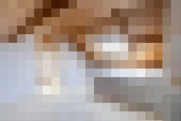 Meidoornpad 27 De Bilt thumbnail 29