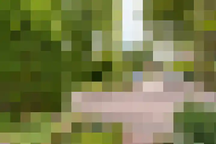 Meidoornpad 27 De Bilt thumbnail 32