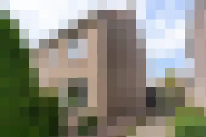 Meidoornpad 27 De Bilt thumbnail 34