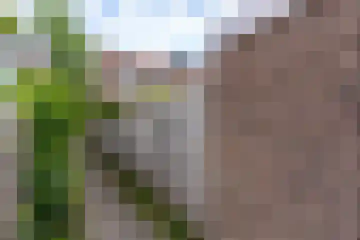 Meidoornpad 27 De Bilt thumbnail 35
