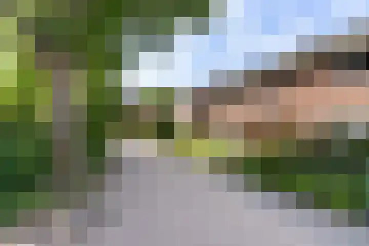Meidoornpad 27 De Bilt thumbnail 36